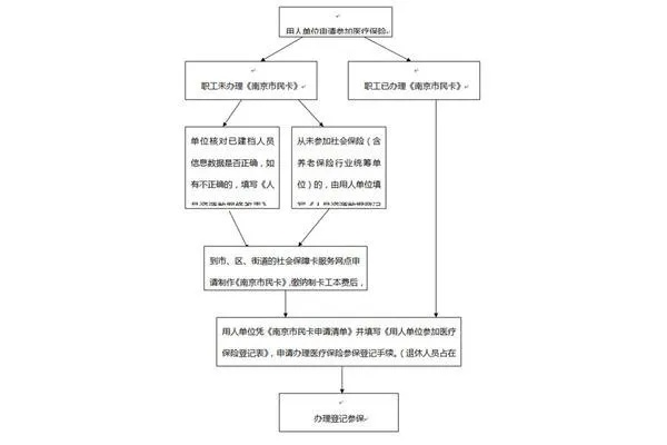 单位医保怎么交？详解缴费流程与注意事项