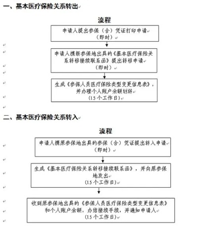 单位医保怎么交？详解缴费流程与注意事项