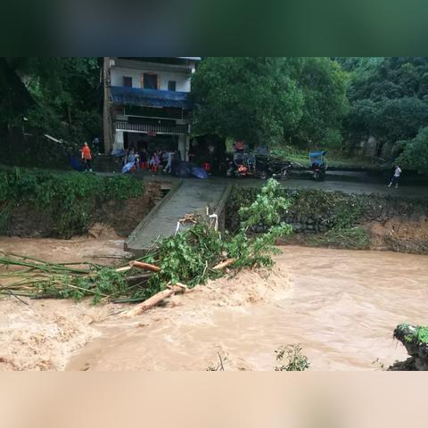 广西水文监测网站首页，实时数据、图表分析与预警系统