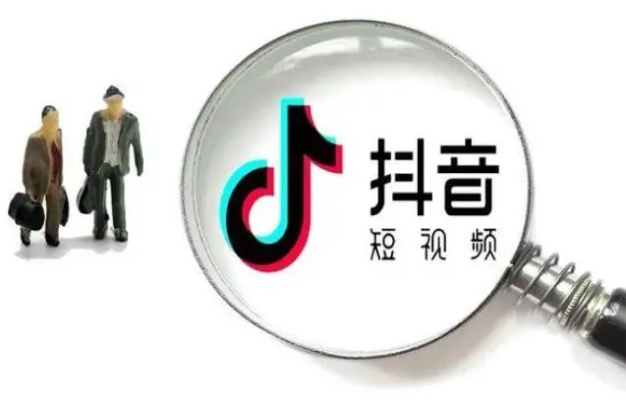 中山市抖音月付套出来公司，违法犯罪行为