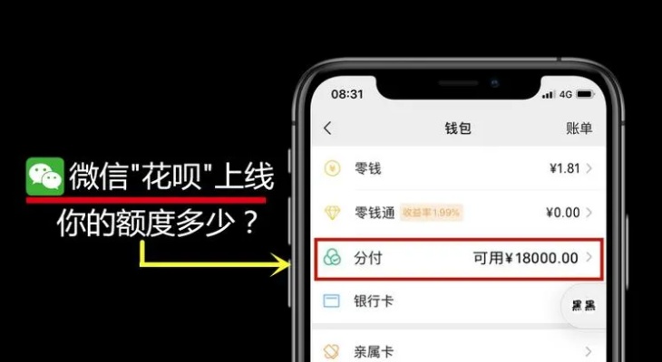 微信分付额度提现攻略，2024年最佳方法与技巧一览