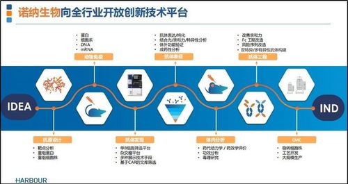 打造成功商业王国，深度解析装修材料店加盟代理的盈利模式与策略