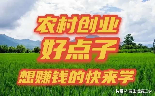 现在干什么致富？