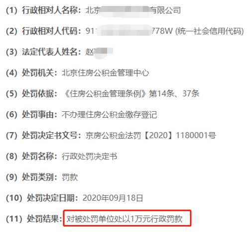 公积金公司怎么交？一篇文章带你了解公积金缴纳全流程