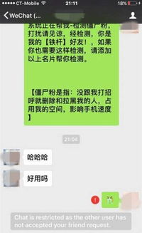 揭秘微信聊天记录查询方法，让你轻松掌握聊天记录信息