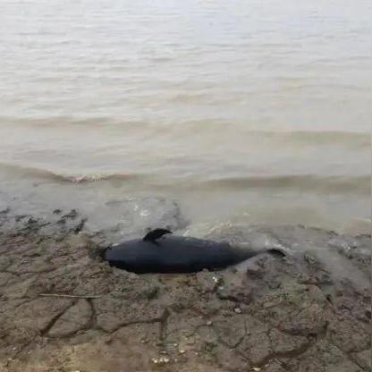 江西省水文监测中心编制的水文监测报告