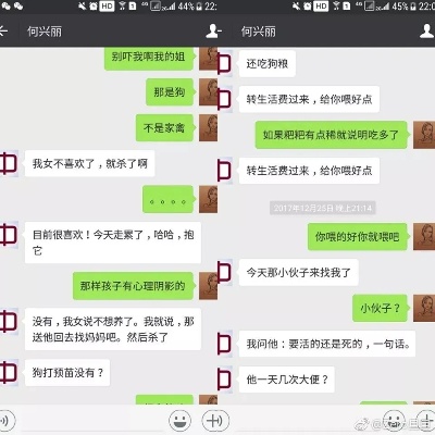 揭秘手机号查微信聊天记录，如何追踪他人的私密对话？