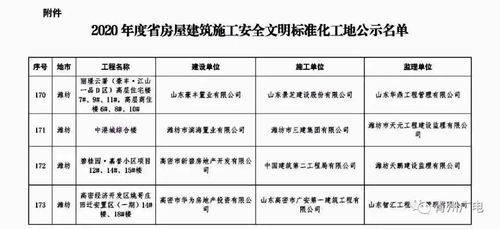 青州致富项目研究报告