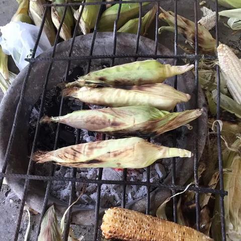 独家揭秘同城旅行提钱购额度怎么套出来，24H取现无风险，让你轻松实现旅游梦想！