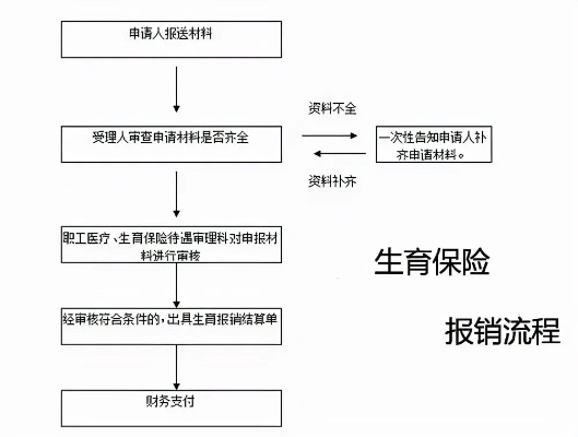 怀孕医保怎么报销？全面解析报销流程与注意事项