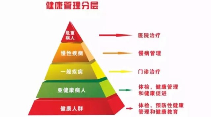 绿色健康生活，深度解析装修除甲醛加盟项目的重要性和市场前景