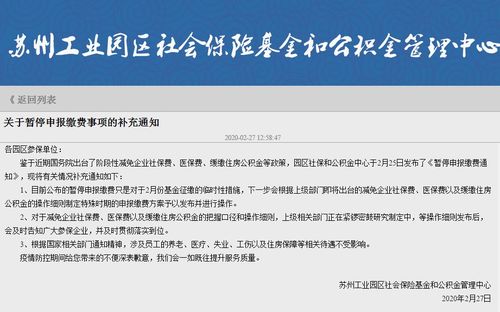 全面解析社保公积金办理流程，如何轻松为您的职场生活保驾护航