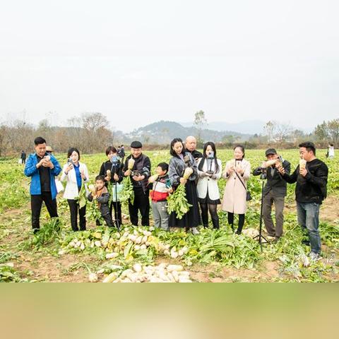 麻城人靠什么致富