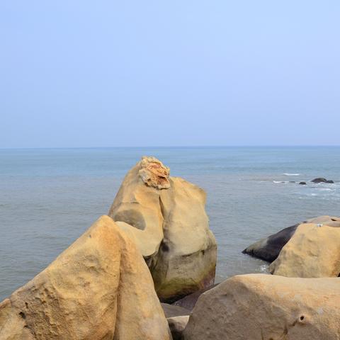 南海百度小程序，探索海洋的神奇之旅