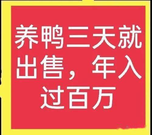 用什么来致富呢？