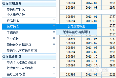 医保卡明细查询指南