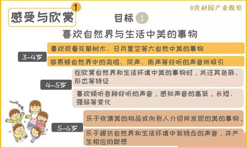 7岁半的孩子如何通过各种方式快速赚钱，一份全面指南