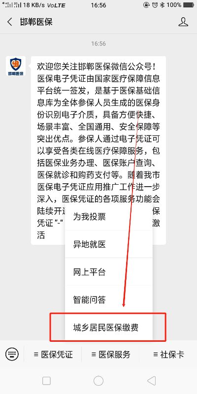 医保卡缴费怎么交