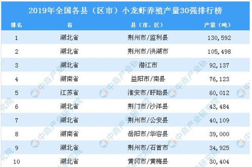 潜江市专业关键词优化服务，提升企业在线竞争力的关键