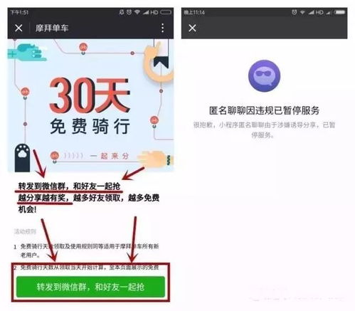 微信首页小程序怎么去掉，告别杂乱无章，重拾清爽体验