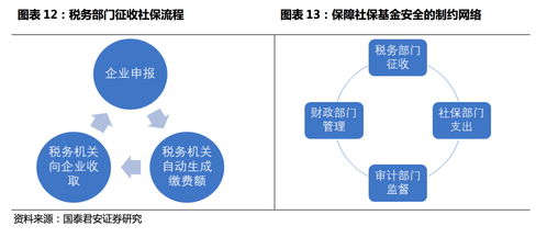 上海公积金，全方位指南，如何缴纳与管理