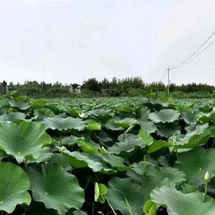 阜阳市水文监测水井招标