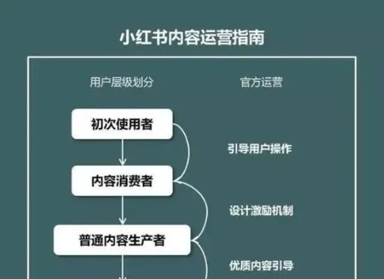 掌握这些小红书运营技巧，轻松赚钱！——探讨如何在不同类型的小红书上实现盈利