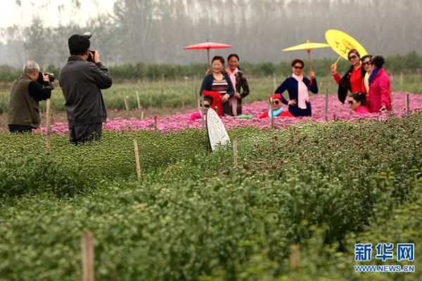 许昌致富项目丰富，涵盖多个领域