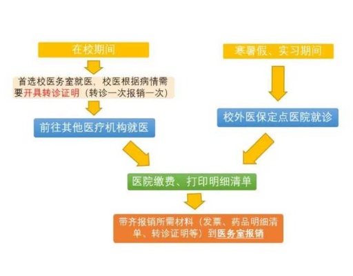 学校医保怎么报销？详解报销流程与注意事项