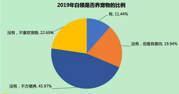 澜石水文站监测数据，揭秘江河背后的秘密