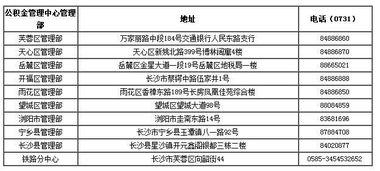 上海公积金怎么用，全方位指南助你轻松规划退休生活