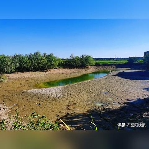 岳阳市水文应急监测队的坚守与担当