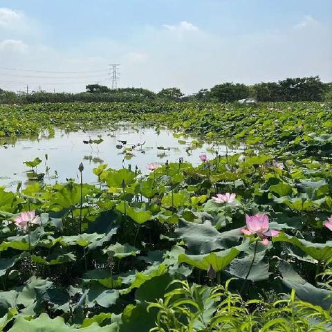 七岁孩子如何通过创意赚钱快