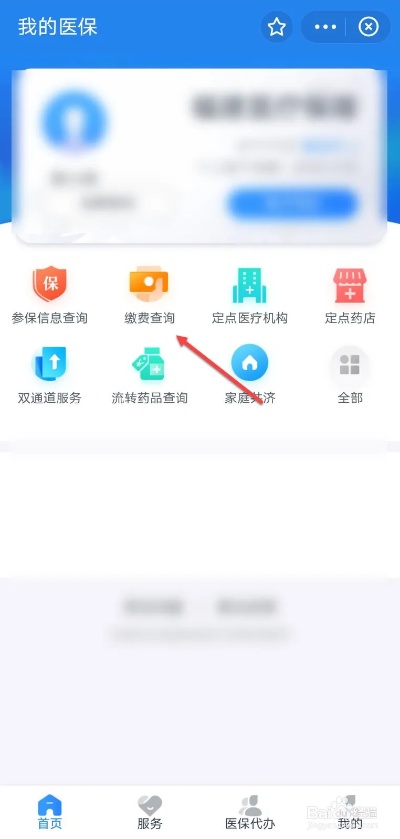 我的医保怎么查询