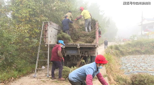 致富之路，探索成功的道路