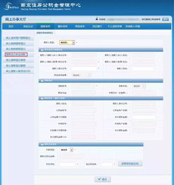南京公积金查询指南，如何轻松获取个人公积金账户信息