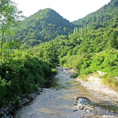 淘宝致富宝，实现财富自由的神奇工具