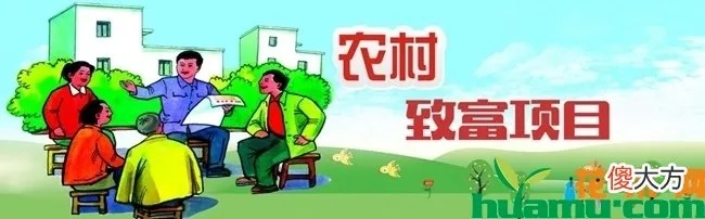 农村致富的特点与策略