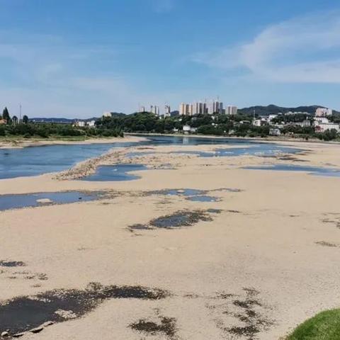 岳阳市水文应急监测队电话，守护城市水安全的热线