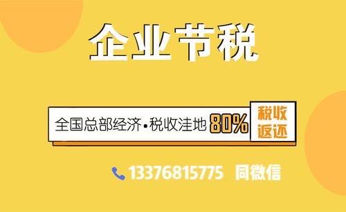 带小鸟赚钱的妙招，打造多元化收入来源