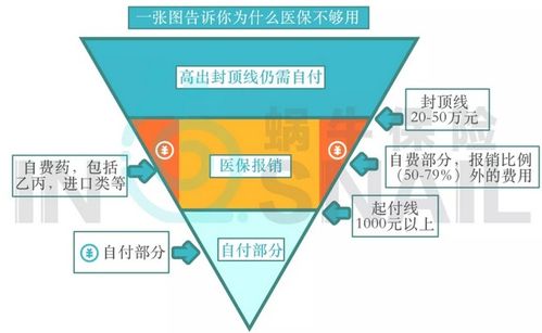 大学生如何购买医保？