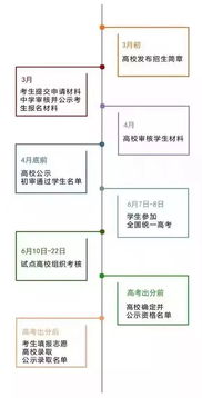 农村医保网上怎么交，流程、注意事项与常见问题