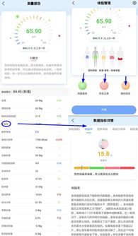 深入剖析，如何查聊天记录并生成分析报告