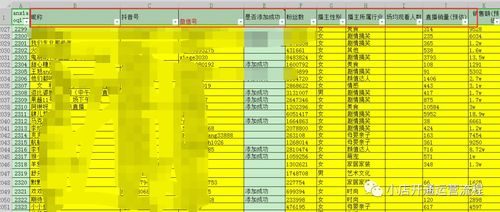 抖音月付金套，到账时间与安全性能解析