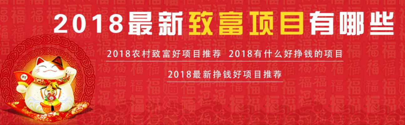 2018年致富热点有哪些？