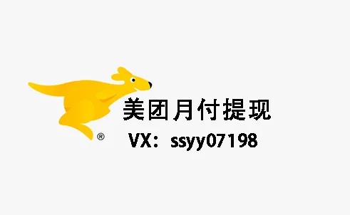 美团月付额度怎么提现，9年服务经验助您分分钟变现，掌握这些技巧轻松实现！