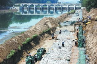 河道水文监测站点名称及其重要性