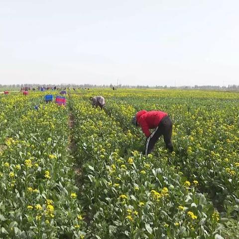 港峰在昆明，多元化投资助力企业发展