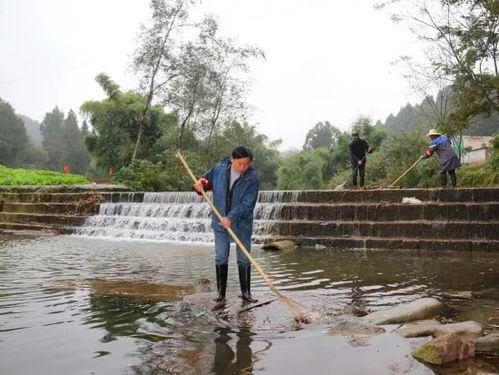 修河水文监测中心扶伟斌，守护水安全的多面手