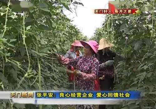 湖北天门种植什么致富？